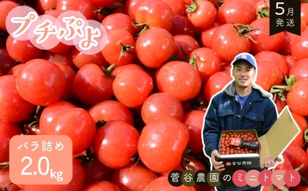 ~jg}giv`Ղj@ol2.0kgy5z