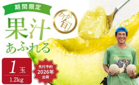 2026年先行予約[イバラキングメロン]＼生産量日本一!/茨城県鉾田市産 イバラキング メロン めろん 1.2kg以上×1玉