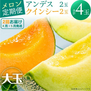 [茨城県メロン品評会赤肉部門最高金賞受賞]山一ファームのメロン『2ヵ月定期便』4月アンデス2玉・5月クインシー2玉