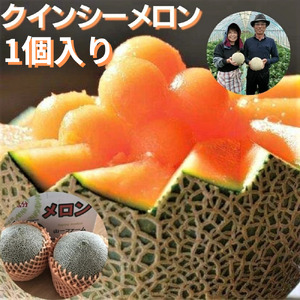 山一ファームの『クインシーメロン』1個入り