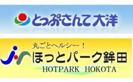 [ふるなびWEEK対象]ほっとパーク鉾田・とっぷさんて大洋 施設利用回数券 FN-Limited