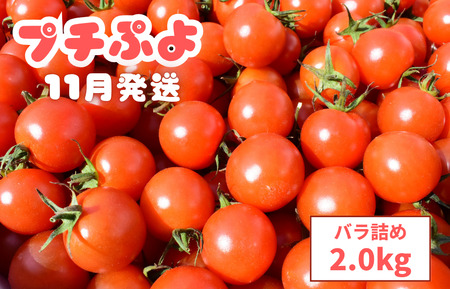 ~jg}giv`Ղj@ol2.0kgy11z