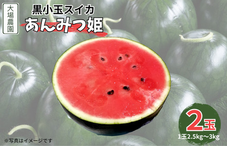 黒小玉スイカ(あんみつ姫) 2玉(2.5kg〜3kg×2玉)