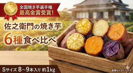 [ふるなびWEEK対象]佐之衛門の焼き芋 6種食べ比べセット Sサイズ8〜9本(1kg程度) FN-Limited-PR
