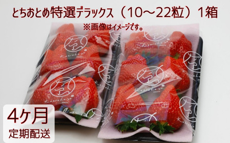 y4ցzƂƂߓIfbNXi10`22j1×4