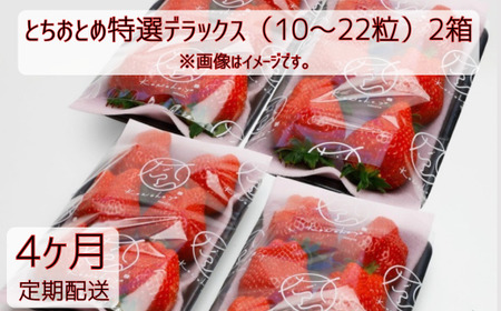 y4ցzƂƂߓIfbNXi10`22j2×4