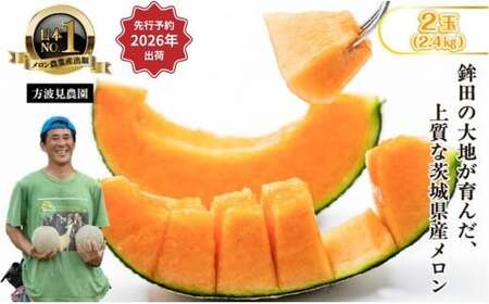 [来年2026年]先行予約!茨城県鉾田市産 むつみレッドメロン メロン めろん 2玉(1.2kg以上×2)