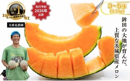 [来年2026年]先行予約!茨城県鉾田市産 むつみレッドメロン(1.2kg以上×3〜5個)