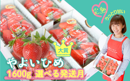 �y1�������z���̂������@�u��悢�Ђ߁v�@�f���b�N�X2��