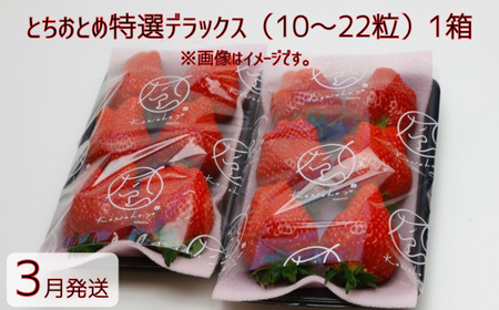 �y3�������z�Ƃ����Ƃߓ��I�f���b�N�X�i10�`22���j1��