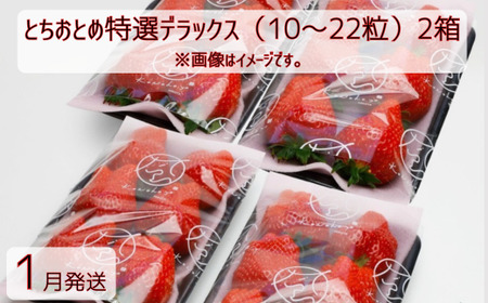 �y1�������z�Ƃ����Ƃߓ��I�f���b�N�X�i10�`22���j2��