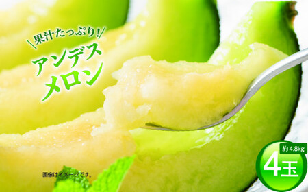 �A���f�X�������i4�ʓ���1���j�v4.8kg�O��