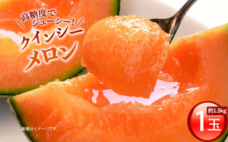 �N�C���V�[�������i1�ʓ���1���j1.5kg�O��