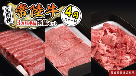 y  zy ߘa8N4X^[g zy S3 zw 헤 xlC3\Zbgi 3Ał͂ j