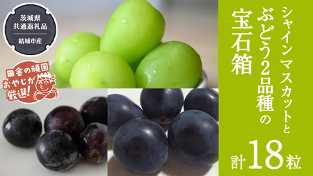 uXԂǂ18v VC}XJbg  Ԃǂ 2i̕Δy2025N8蔭Jnzi錧ʕԗi [Ԃǂ]FsYj Ԃǂ uhE  ʕ t[c 錧Y