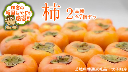 ` 2iie7jy10{蔭Jnzi錧ʕԗiFqYj ʕ t[c 錧Y