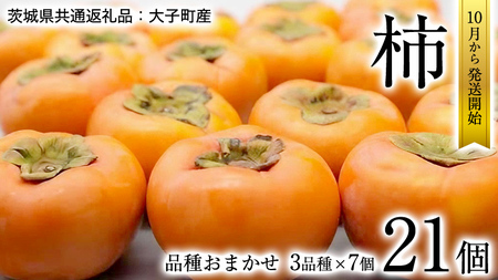 ` 3iHה(e7)y10{蔭Jnzi錧ʕԗiFqYj ʕ t[c 錧Y