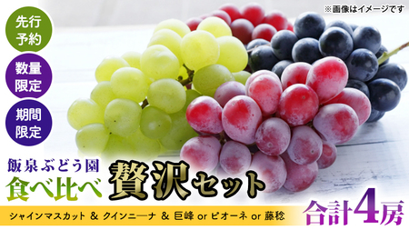 [ 先行予約 ][ 数量限定 ][ 期間限定 ]絶品!飯泉ぶどう園の おすすめ ぶどう 4種 ( シャインマスカット & クインニ―ナ & 巨峰 or ピオーネ or 藤稔 )食べ比べ 贅沢セット( 合計 4房 ) 2025年8月下旬〜発送開始 シャインマスカット クインニ―ナ 巨峰 ピオーネ 藤稔 贅沢 飯泉園 産直 新鮮 採れたて ふるさと納税