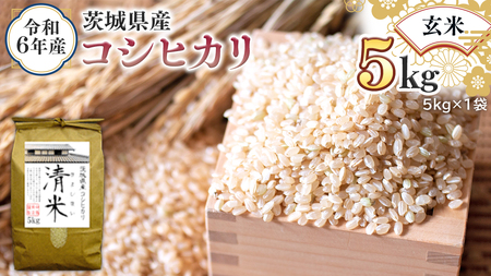 令和6年産 茨城県産 玄米 コシヒカリ 5kg (5kg×1袋) 新米 清米 キヨシマイ こしひかり 米 コメ こめ 単一米 限定 茨城県産 国産 美味しい お米 おこめ おコメ