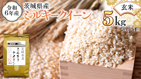 令和6年産 茨城県産 玄米 ミルキークイーン 5kg (5kg×1袋) 新米 米 コメ こめ 単一米 限定 茨城県産 国産 美味しい お米 おこめ おコメ