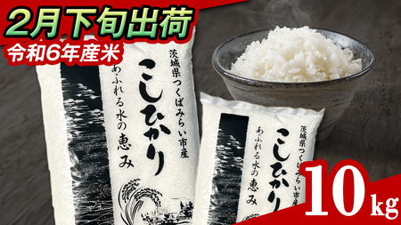 【 2月下旬発送 / 数量限定 】新米 茨城県産 コシヒカリ 精米 10kg (5kg×2袋） 令和6年産 こしひかり 米 コメ こめ 単一米 限定 茨城県産 国産 美味しい お米 おこめ おコメ