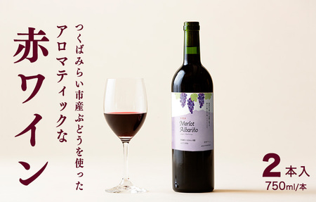 つくばみらい市産ぶどうを使った「 アロマティックな 赤ワイン 」2本入 ワイン お酒 酒 フルーツ 果物 果実酒 ブドウ おつまみ 贈り物 お取り寄せ プレゼント 記念日