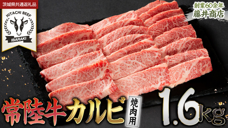 [ 常陸牛]焼肉用カルビ 1.6kg (茨城県共通返礼品) ひたちぎゅう カルビ焼肉 牛肉 肉 お肉 精肉 国産牛 ブランド牛 和牛 カルビ 牛カルビ 使い勝手 冷凍 焼肉 BBQ アウトドア キャンプ