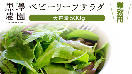 【 業務用 】 黒澤農園 の ベビーリーフサラダ 500g 大容量タイプ 業者向け ベビーリーフ サラダ 生野菜 食べやすい 若葉 ファミリー 旬 新鮮 国産 彩り パーティー 大量 お得パック