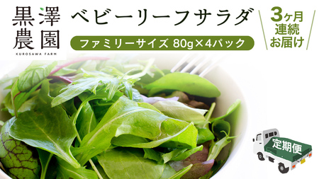 [ 定期便 ]3か月連続でお届け! 黒澤農園 の ベビーリーフサラダ ( 80g × 4パック )ファミリーサイズ ベビーリーフ サラダ 生野菜 食べやすい 若葉 ファミリー 旬 新鮮 国産 彩り 頒布会 野菜 葉野菜 国産 直送 定期