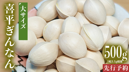 [先行予約] 喜平 ぎんなん 500g (1粒3.5g程度・大サイズ) [2025年10月中旬より発送開始] イチョウ 秋 美味 栄養満点 健康 高血圧予防 むくみ改善 疲労回復 美肌