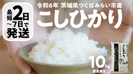 最短 2日で発送 ／ コシヒカリ 10kg 令和6年産精米【 数量限定 】茨城