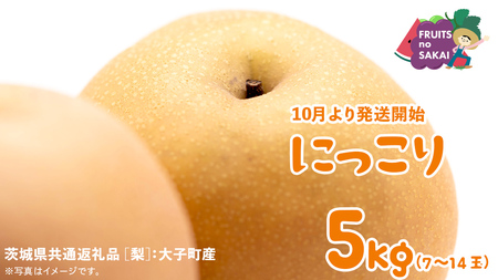 にっこり 梨 5kg (7〜14玉)[2025年10月より発送開始](茨城県共通返礼品 [梨]:大子町産) なし 旬 お取り寄せ フルーツ 甘い ジューシー 和梨 時期