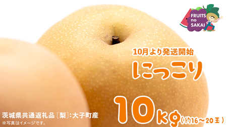 ɂ  10kg i14`28ʁjy2025N10蔭Jnzi錧ʕԗi []FqYj Ȃ {  t[c Â W[V[ a 