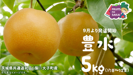 豊水 梨 5kg （8～12玉）【2026年9月より発送開始】（茨城県共通返礼品 [梨]：大子町産）