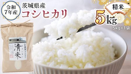 令和7年産 茨城県産 精米 コシヒカリ 5kg (5kg×1袋) 白米 清米 キヨシマイ こしひかり 米 コメ こめ 単一米 限定 茨城県産 国産 美味しい お米 おこめ おコメ