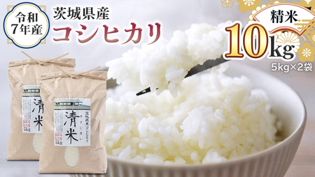 ߘa7NY 錧Y  RVqJ 10kg i5kg×2܁j    LV}C Ђ  R  P  錧Y Y    R