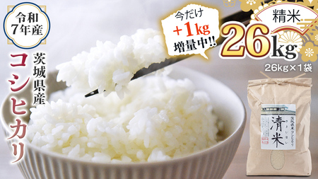 y1kgʒz  V  ߘa7NY 錧Y  RVqJ 26kgi26kg×1܁j ʏ25kĝƂ1kgʒI  LV}C Ђ  R  P  錧Y Y 