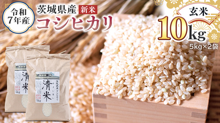  V  ߘa7NY 錧Y  RVqJ 10kg i5kg×2܁j  LV}C Ђ  R  P  錧Y Y    R