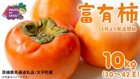 富有柿 10kg (約30〜42個)[2025年11月より発送開始](茨城県共通返礼品 [柿]:大子町産) かき 旬 お取り寄せ フルーツ 甘い 秋の味覚