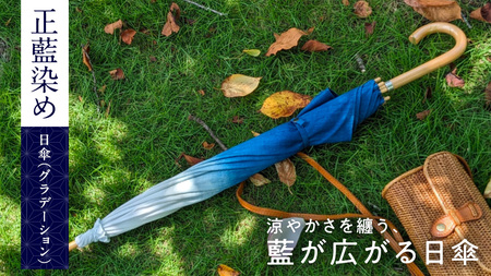 [限定1点]正藍染め(しょうあいぞめ)の日傘(グラデーション)