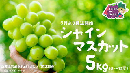 VC}XJbg 5kg i8`12[jy2025N9蔭Jnzi錧ʕԗi [Ԃǂ]FsYj