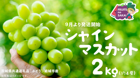 VC}XJbg 2kg i4[jy2025N9蔭Jnzi錧ʕԗi [Ԃǂ]FsYj