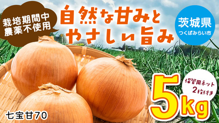 [先行予約]つくばみらい市産たまねぎ 5kg (七宝甘70)保管に便利な 貯蔵 ネット付[2026年5月より発送開始]