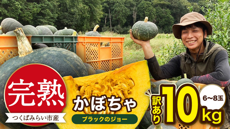 y A znڂ ubÑW[ 10kgi6`8ʁj