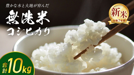 y  zߘa7NY V RVqJ 10kg 錧΂݂炢sY