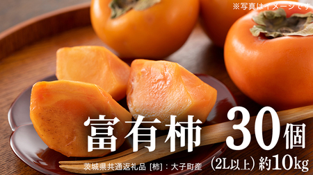 富有柿 30個 約10kg（2L以上）【11月より発送開始】（茨城県共通返礼品 [柿]：大子町産）