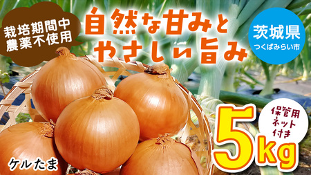 [ 先行予約 ]つくばみらい市産 たまねぎ 5kg ( ケルたま ) 保管に便利な貯蔵ネット付[2026年6月より発送開始]