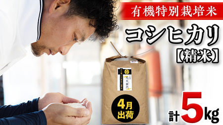 令和7年産 ＜ 4月出荷 ＞ 精米 5kg 三百年 続く農家 の 有機特別栽培米 コシヒカリ