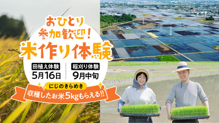 [2026年5月16日(土曜日) 開催予定]お1人様大歓迎!米作り体験(田植え・稲刈り体験)にじのきらめき 5kg付き