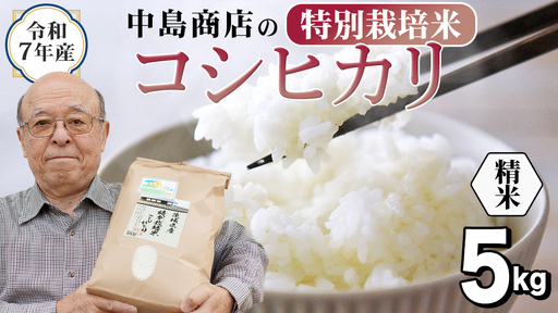 令和7年産 茨城県産 精米 特別栽培米 コシヒカリ 5kg (5kg×1袋)